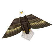 Aquilone in polietilene dalla forma a falco, volo con venti leggeri, facile da usare adatto anche per bambini